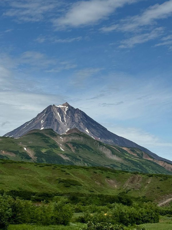 гениальные лоси