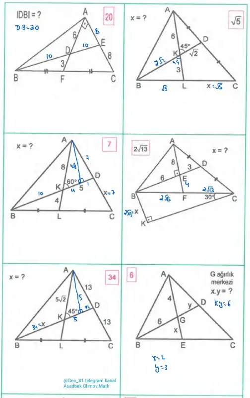 Turk Geometriya Geo_X