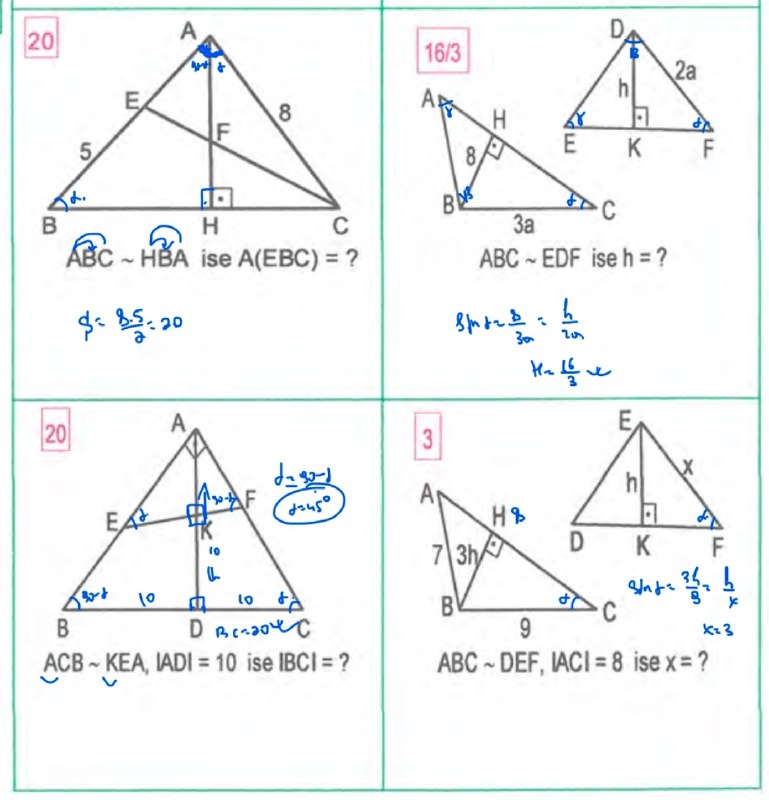 Turk Geometriya Geo_X