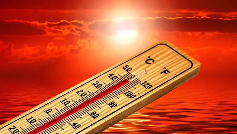 **Ein Temperaturrekord jagt den nächsten: Jeder Monat war angeblich der heißeste aller Zeiten. Der norwegische Professor für physische Geographie, Ole …