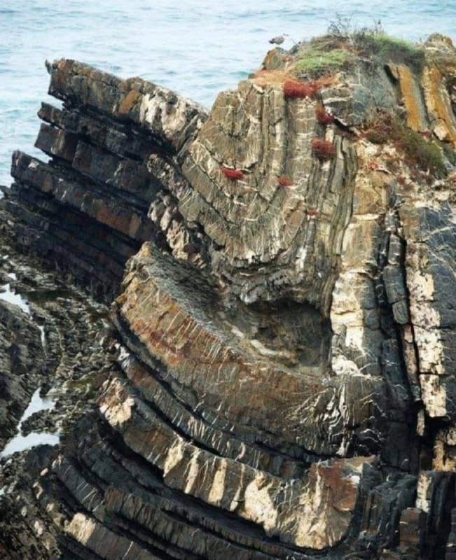 چین خوردگی بسیار زیبا در سواحل