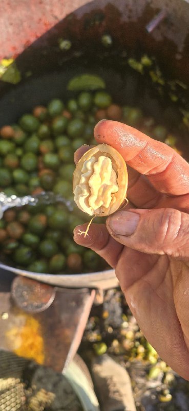 چندلر در دستگاه پوست کنی