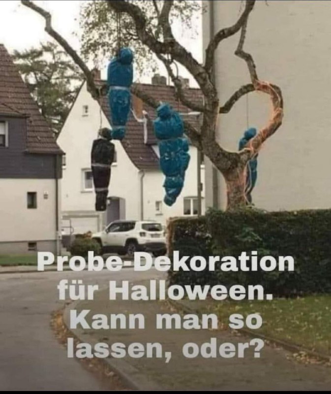 Bald ist ja wieder Samhain / …