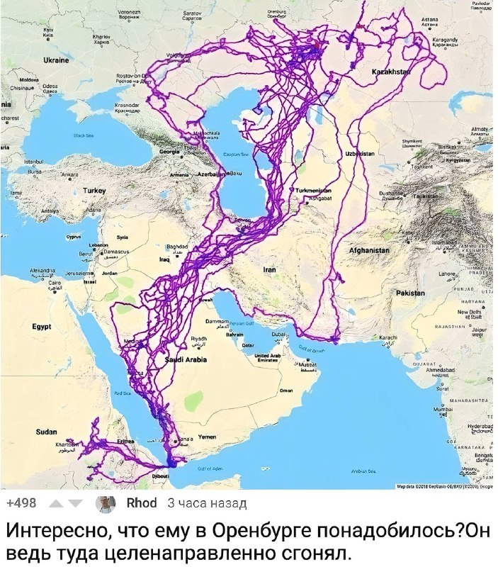 Отслеживание передвижений орла в течение 20 …