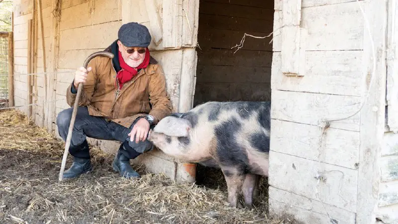 *****‼️******🥦******🍅*** Star-Koch: „Es gibt kaum noch Bauern, die anbauen, was wir wirklich brauchen“