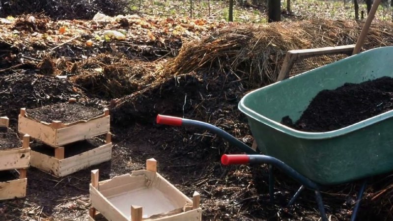 Schnecken im Garten, Margarete Langerhorst, geniale …