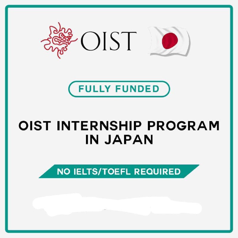 *3-6* **months Fully Funded International Internship …