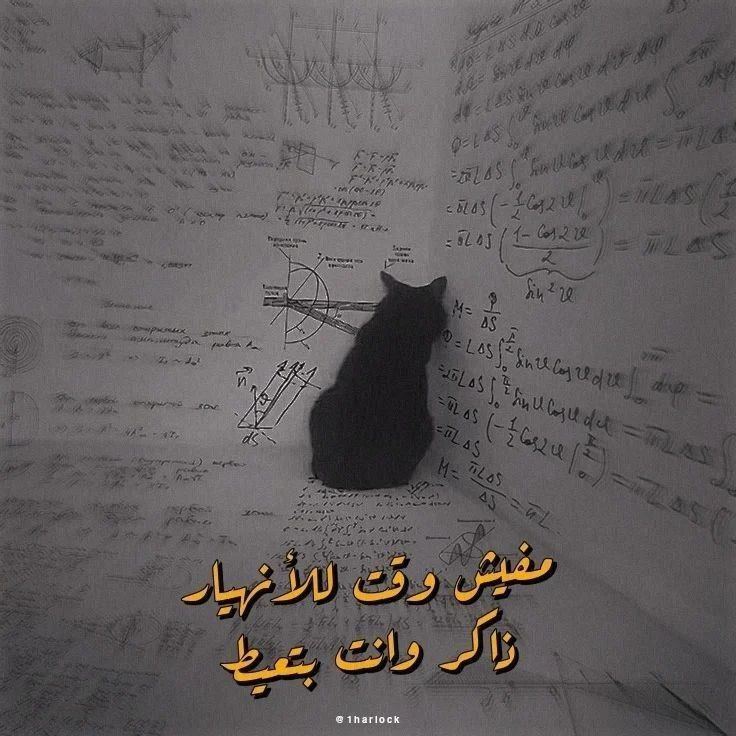 حالتي وانا طالب#سادس***?***
