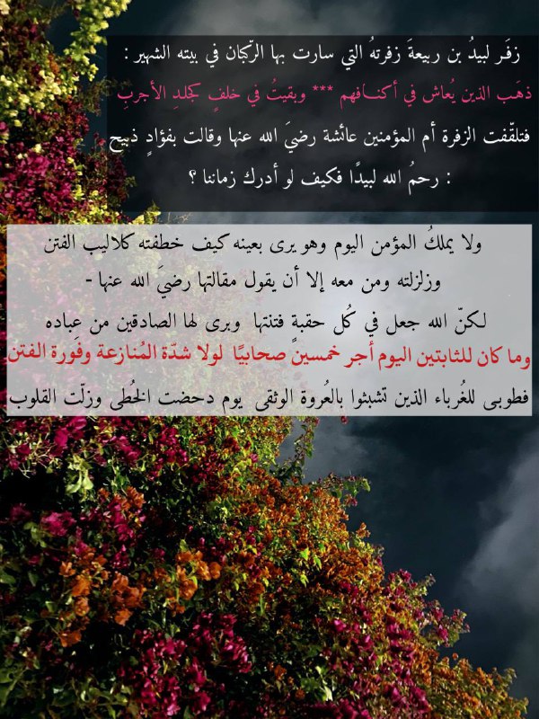كُـوّة ✨