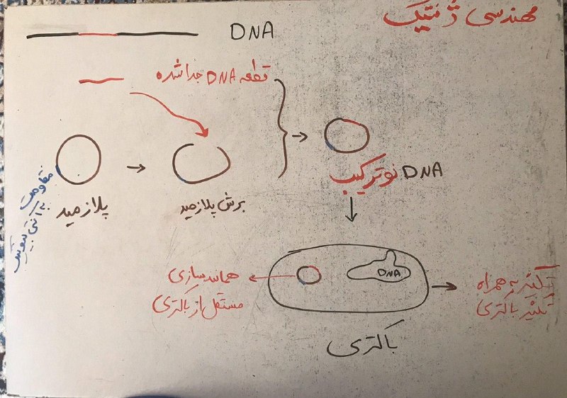 زيست شناسي قادرپور/باقرلو