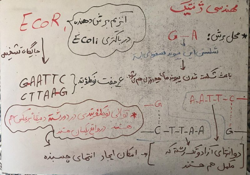 زيست شناسي قادرپور/باقرلو