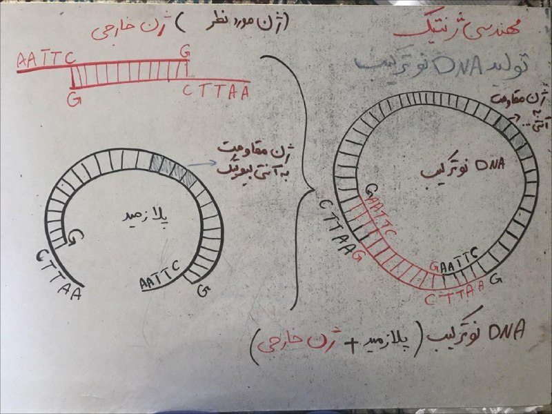زيست شناسي قادرپور/باقرلو