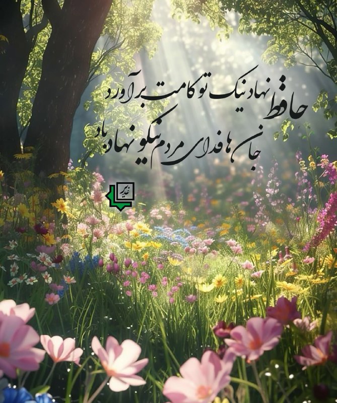 ***✨******✨******🌸******🌿******🌺******🌿******🌸******✨******✨***