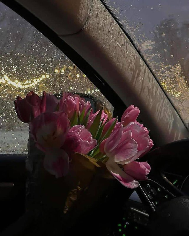 ﮼غين?✨