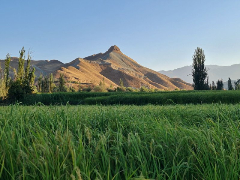 قلم سرد(عبدالرضا یعقوبی)