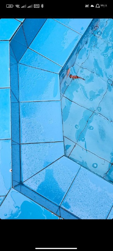 به ماهی‌ها دقت کنید.