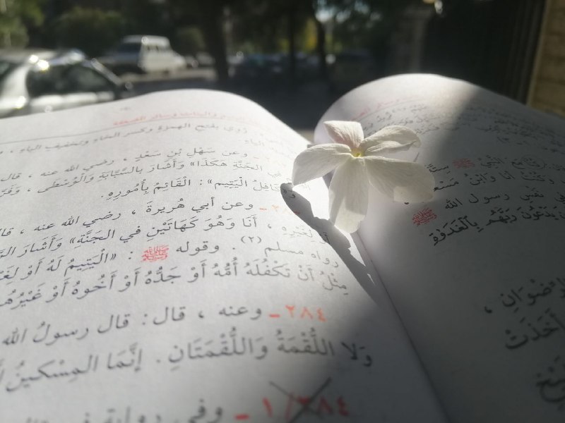 أنا وهو كهاتين في الجنة***?***