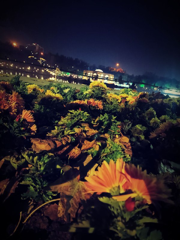 ائل گلی قشنگم***?***