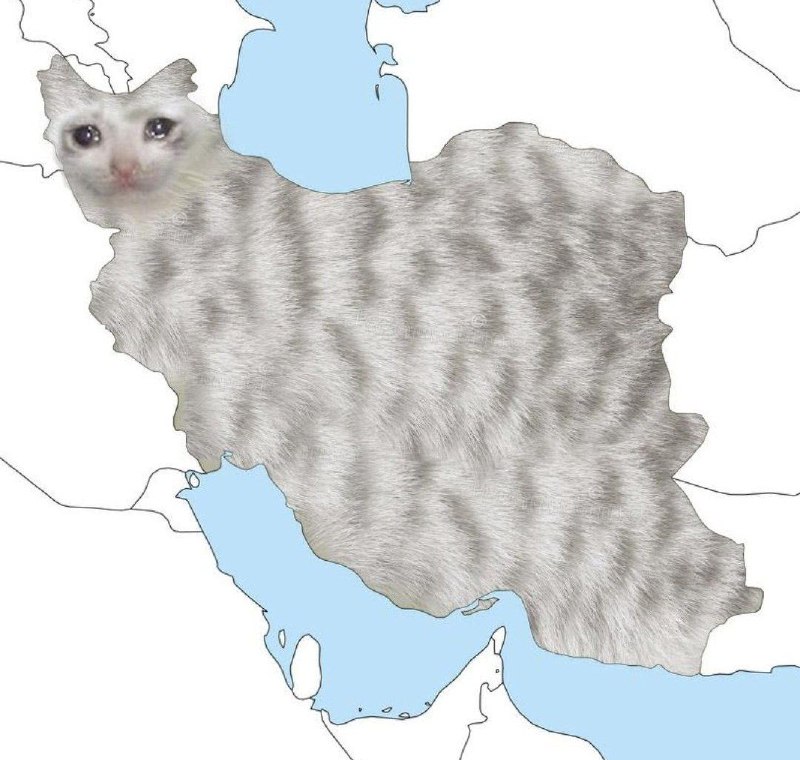 قیربه🐈‍⬛️