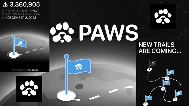 ***🐾*** **پروژه PAWS در کمتر از …