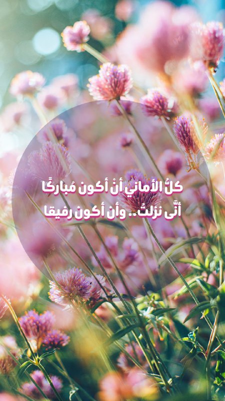 [#اقتباس](?q=%23%D8%A7%D9%82%D8%AA%D8%A8%D8%A7%D8%B3)