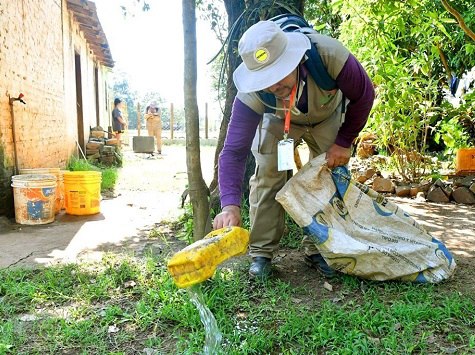 Bisher erster Todesfall durch Dengue-Fieber in …