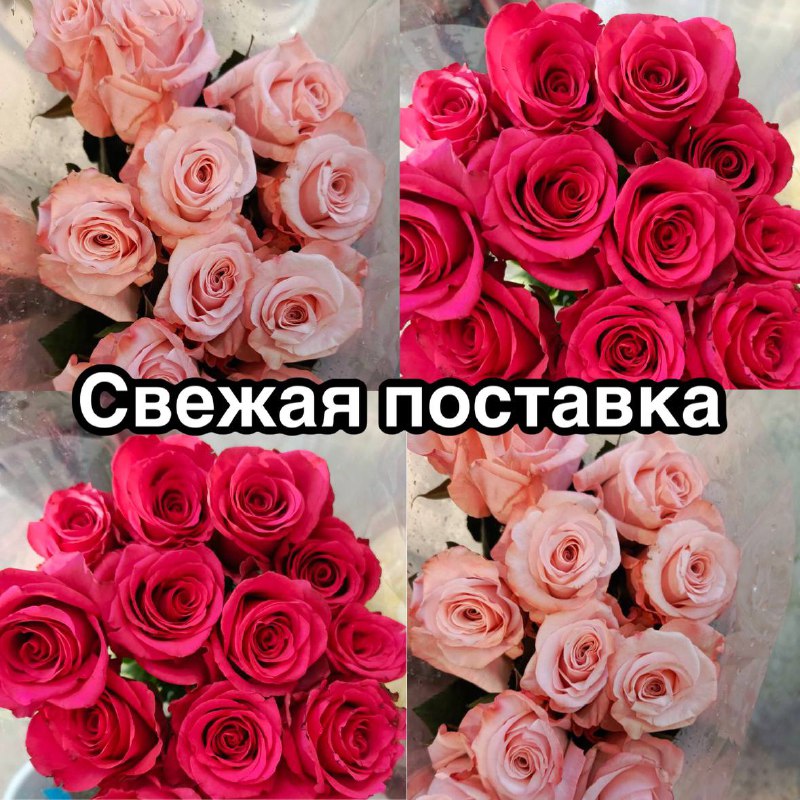 ЦВЕТЫ ИЗОБИЛИЯ💐