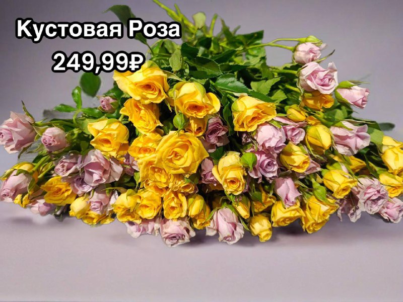 Кустовая Роза ***🌹***