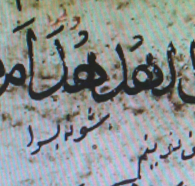 ***⚡️*** «شؤنه‌بسر» قۊرآن ٚدل هدهد ٚوگردان …