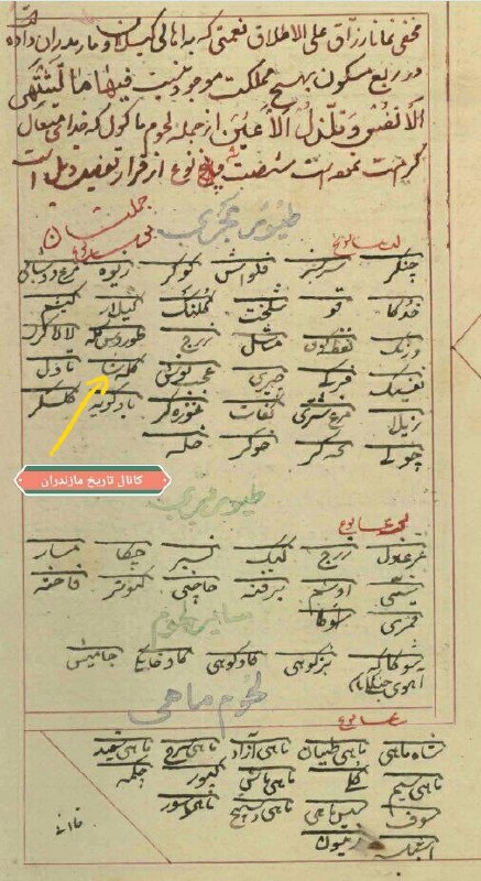 ***⚡️*** ایندر ان «گله‌شا» ثبت بؤبه