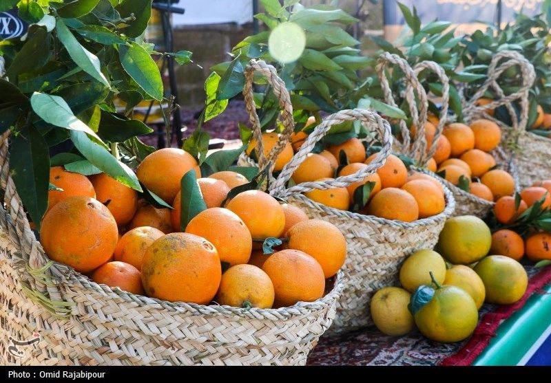 **جشنواره شکرانه برداشت پرتقال لنگرود