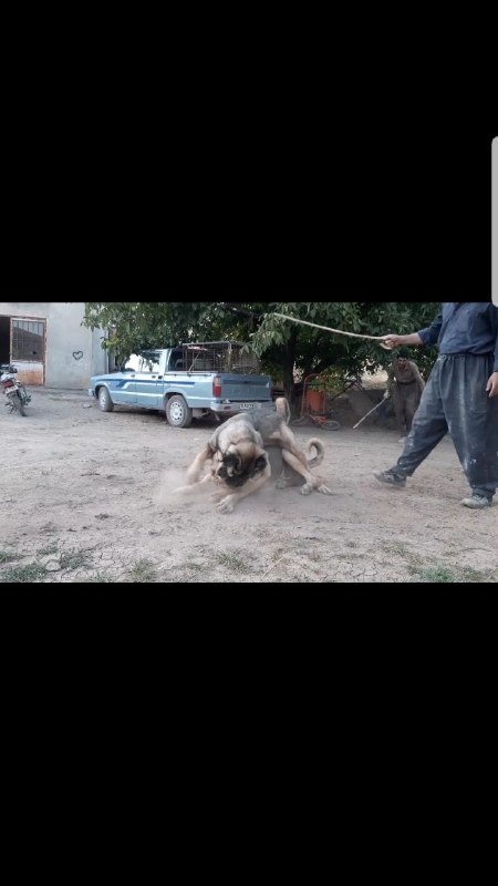 پشدر بازان کهن