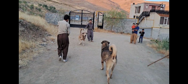 پشدر بازان کهن