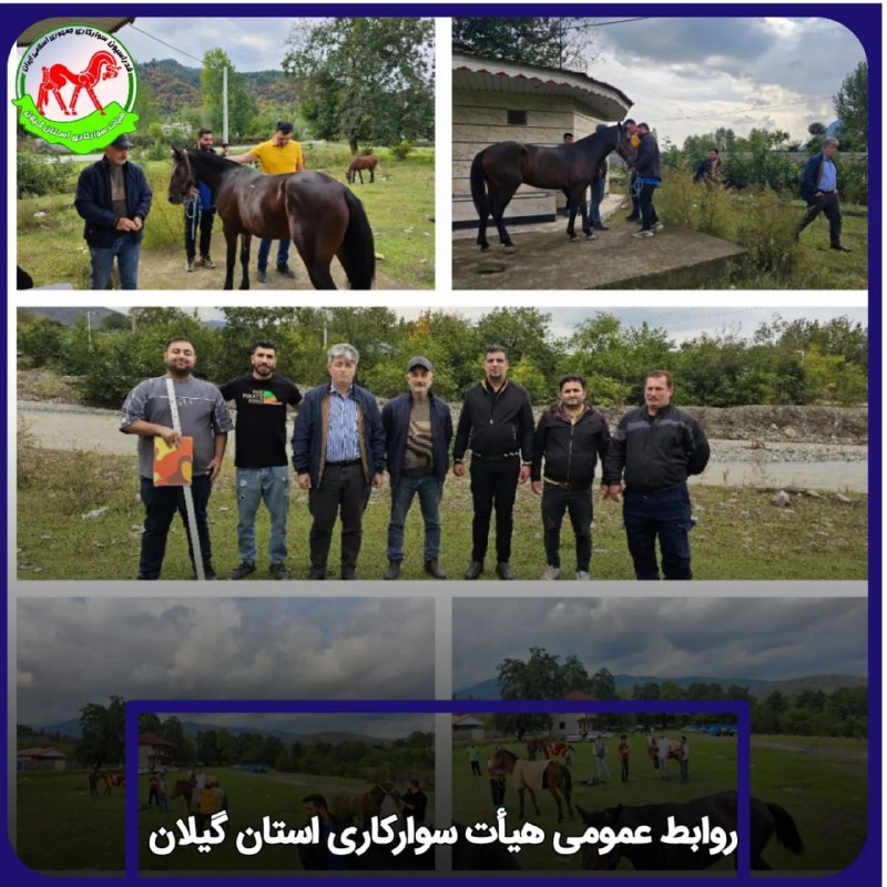 ادامه اجرای طرح ساماندهی و صدور …
