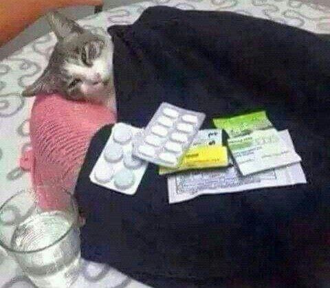 Mood :