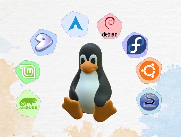 [Experimente distros Linux sem instalar nada](https://distrosea.com/pt/)