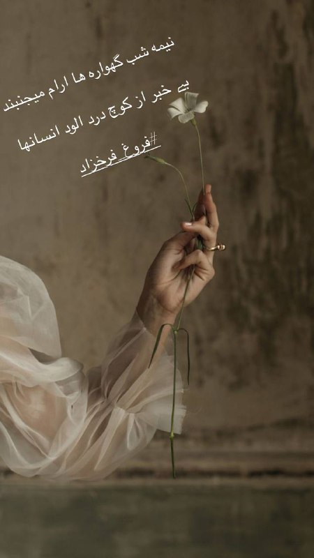 [#مجله\_ادبی\_گیسا](?q=%23%D9%85%D8%AC%D9%84%D9%87_%D8%A7%D8%AF%D8%A8%DB%8C_%DA%AF%DB%8C%D8%B3%D8%A7)