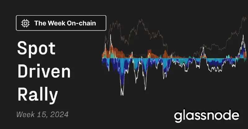 **The Week On-Chain 15, 2024**
