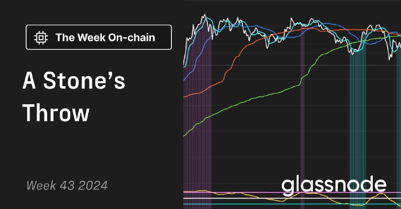 **The Week On-Chain 43, 2024**