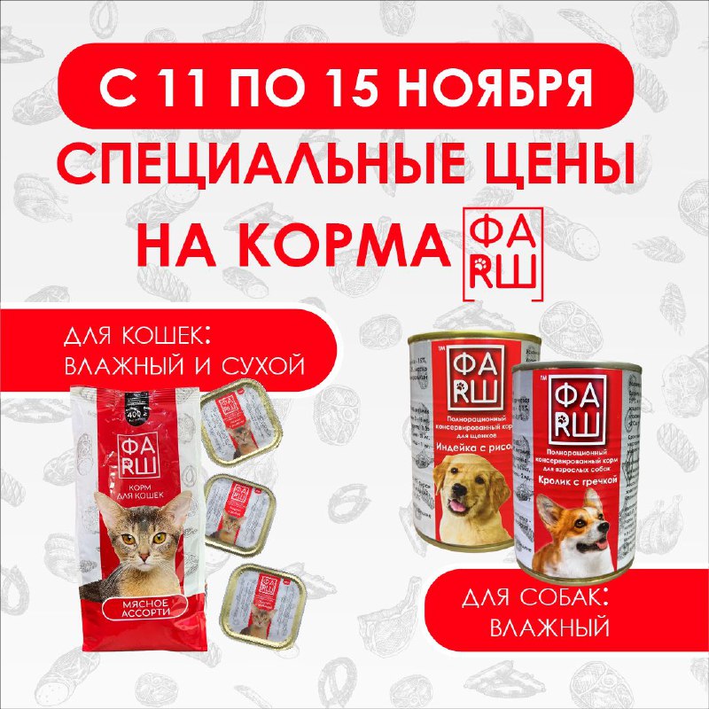 С 11 по 15 ноября — …