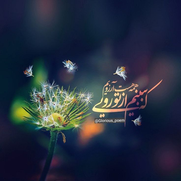 عمرم تمام گشت ز هجران روی …