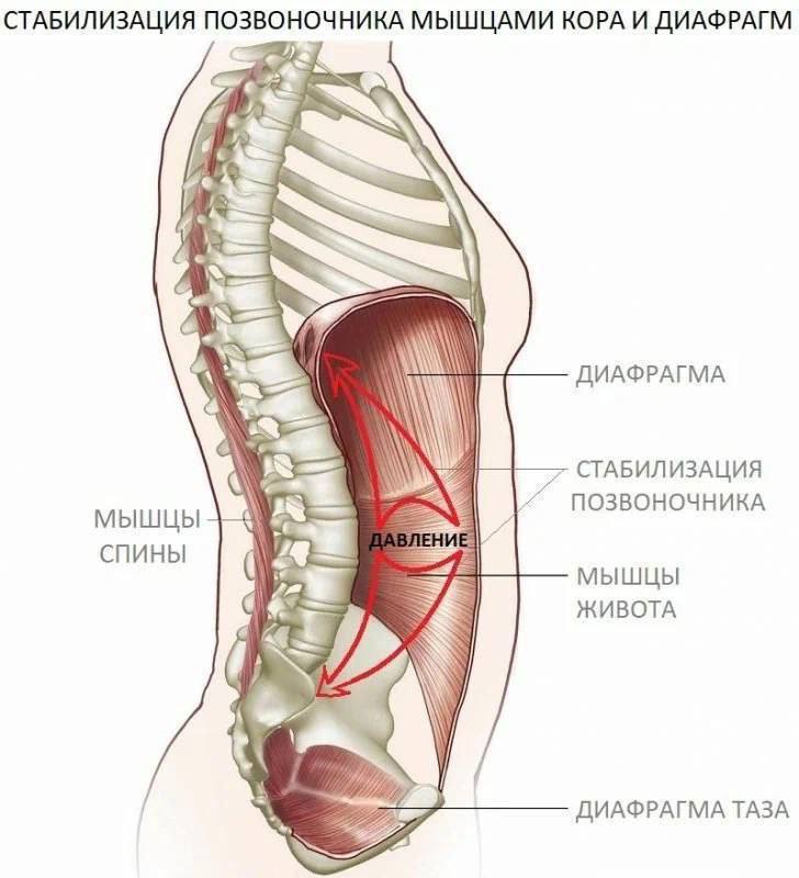 Дарья 🎯 ВИЖУ ЦЕЛЬ • СММ