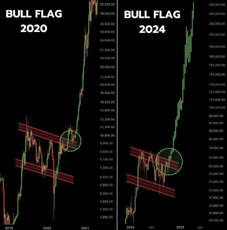 [#Bitcoin](?q=%23Bitcoin) 가 방금 불 플래그를 다시 …