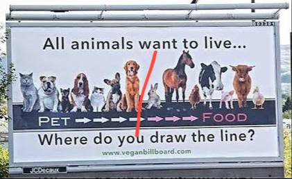 Where would you draw the line?