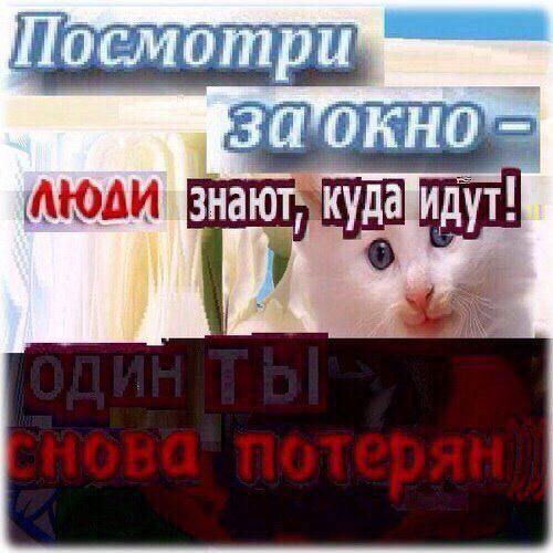 memento meme!