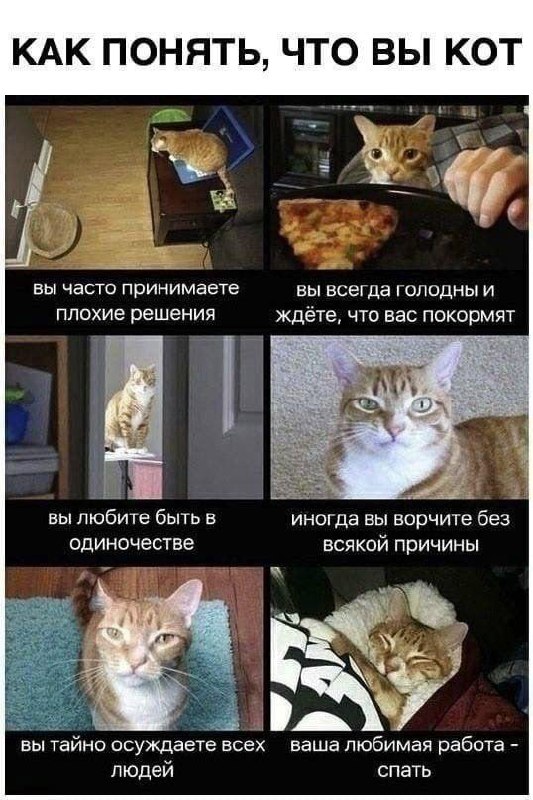 memento meme!