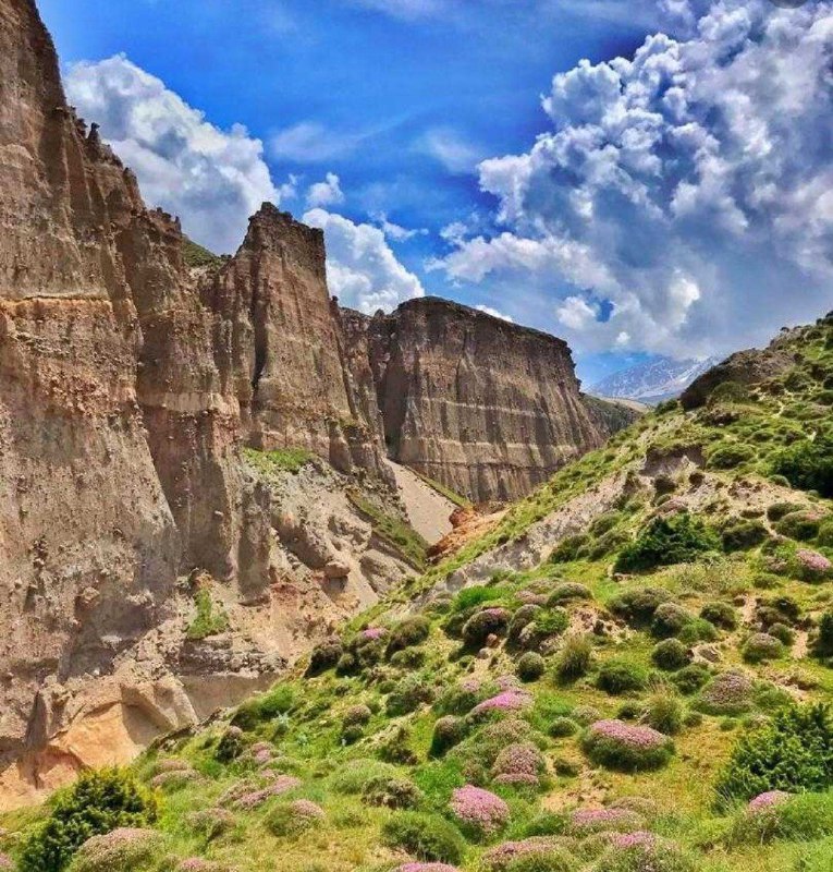 کانال شخصی قدرت حسین پور
