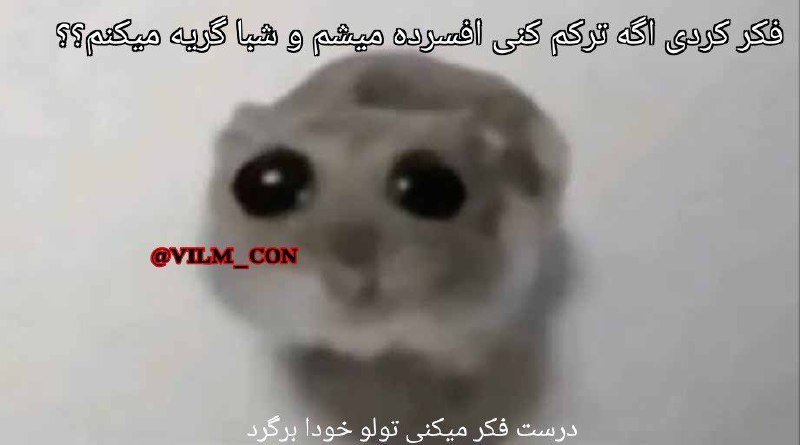 خدایان (مقرمرکزی)