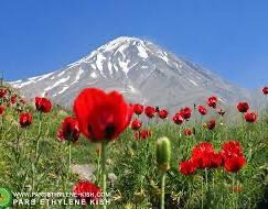 گفتگو هاى تنهایی