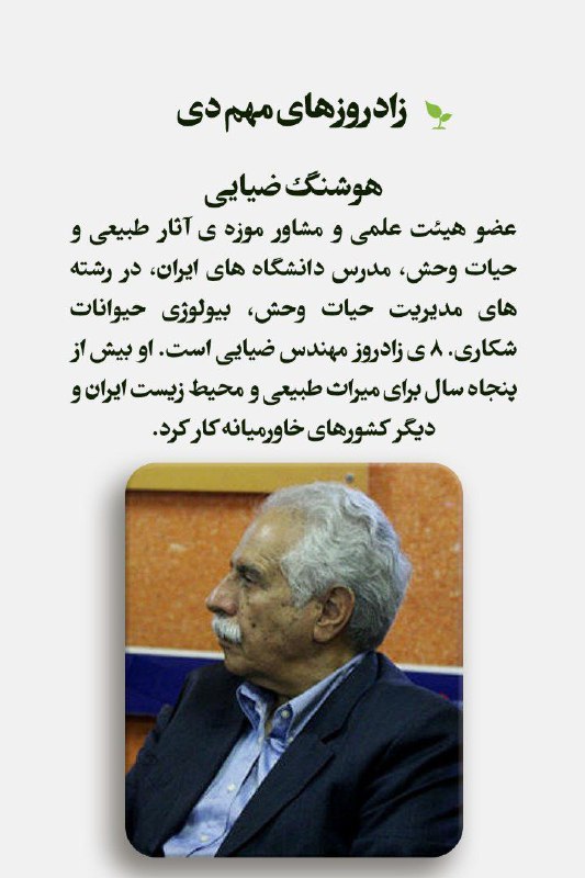 گفتگو با طبیعت